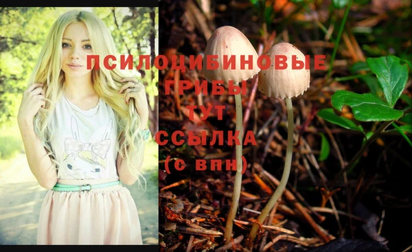хмурый Армянск