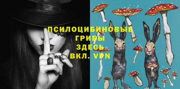 хмурый Армянск